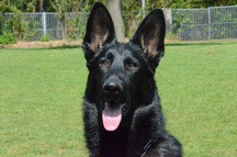 Mazzel @ 8 months