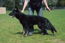 Mazzel @ 8 months